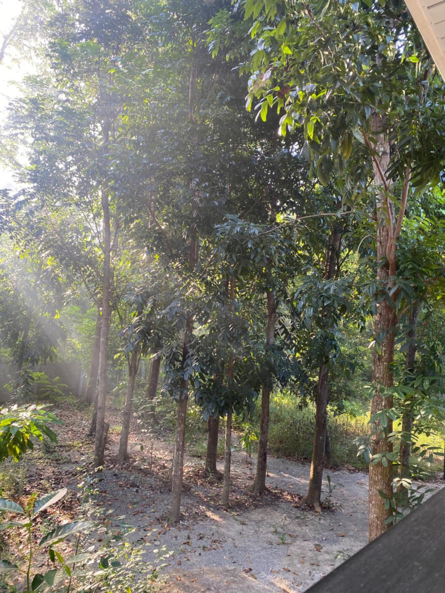 Balai Benedicere Bed & Breakfast Bacnotan Buitenkant foto